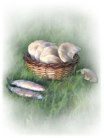 Loaves & Fishes - Soft-Edged File