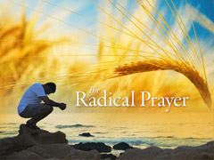 The Radical Prayer