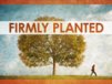 Church Banner of Firmly Planted