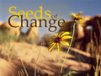 Church Banner of Seeds of Change