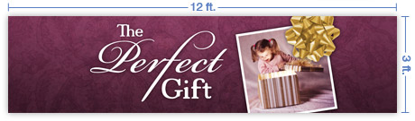 12x3 Horizontal Church Banner of The Perfect Gift