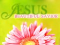 Beautiful Savior