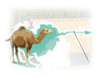 Camel And Needle - Soft-Edged