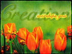 Creation Worships You