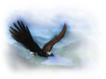 Eagle's Wings - Soft-Edged File