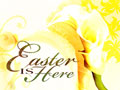 Easter Is Here