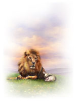 Lion & Lamb - Soft-Edged File