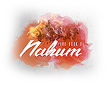 Nahum Paint - Soft-Edged