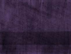Panera Purple