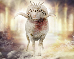 Revelations Lamb