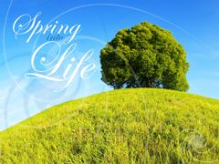 Spring into Life