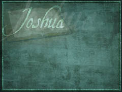 book of Joshua