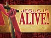 Church Banner of Alive