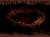 Church Banner of Crown of Thorns