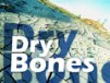 Church Banner of Dry Bones