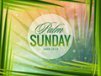 Church Banner of Palm Sunday 2
